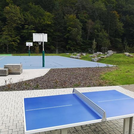 Ferienwohnung In Waldrandlage In Nationalpark Schleiden / Eifel Εξωτερικό φωτογραφία