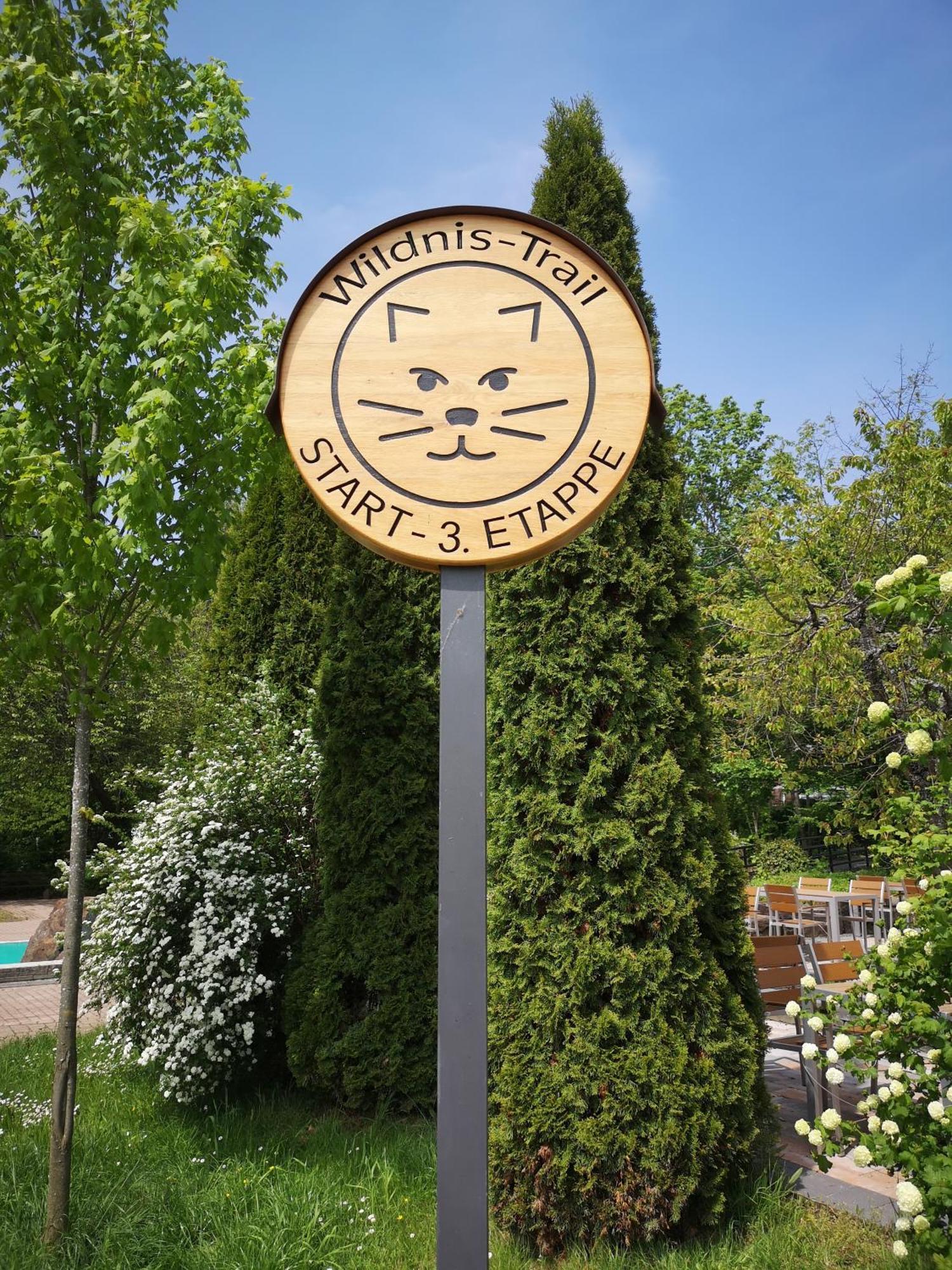 Ferienwohnung In Waldrandlage In Nationalpark Schleiden / Eifel Εξωτερικό φωτογραφία