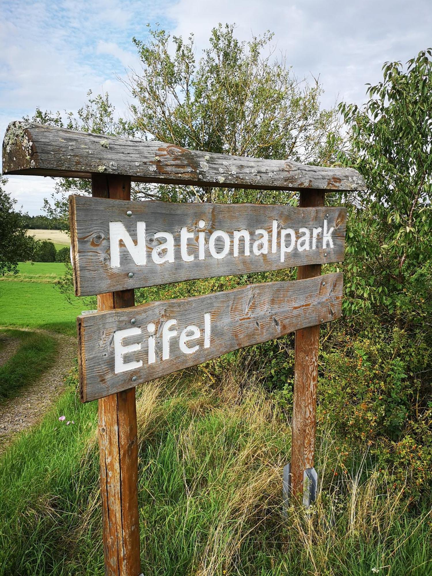 Ferienwohnung In Waldrandlage In Nationalpark Schleiden / Eifel Εξωτερικό φωτογραφία