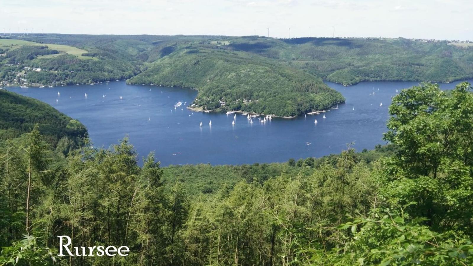 Ferienwohnung In Waldrandlage In Nationalpark Schleiden / Eifel Εξωτερικό φωτογραφία