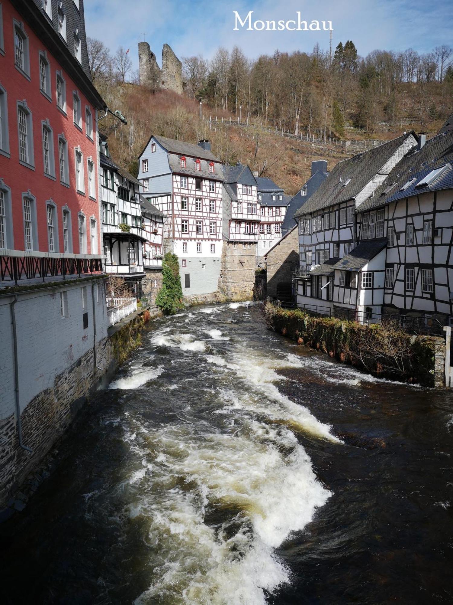 Ferienwohnung In Waldrandlage In Nationalpark Schleiden / Eifel Εξωτερικό φωτογραφία