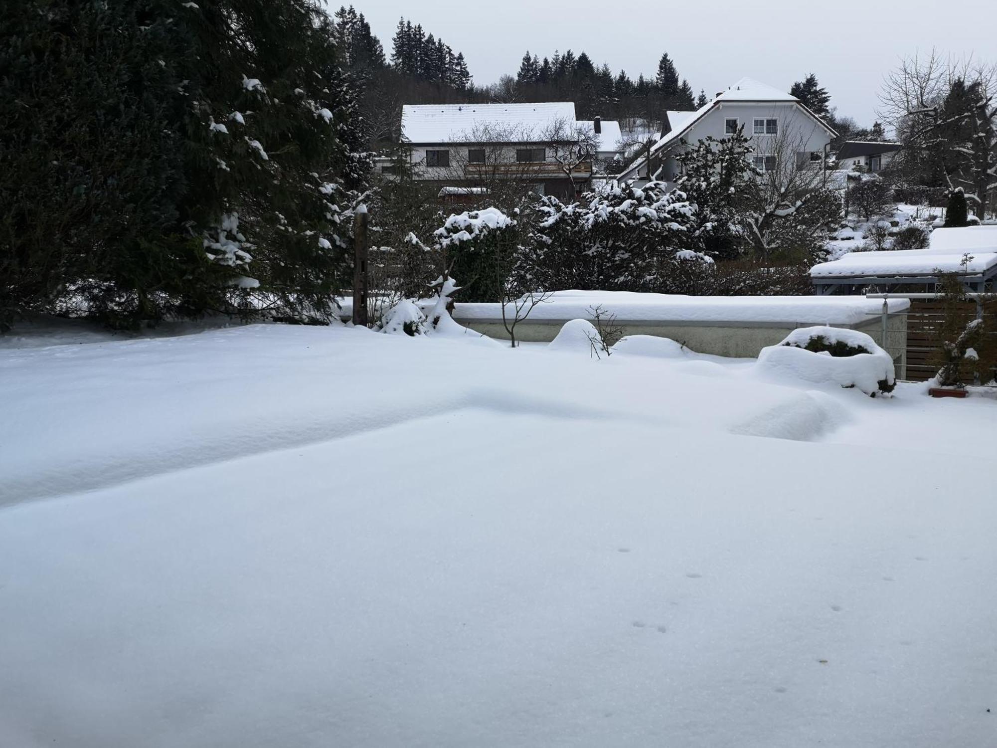 Ferienwohnung In Waldrandlage In Nationalpark Schleiden / Eifel Εξωτερικό φωτογραφία