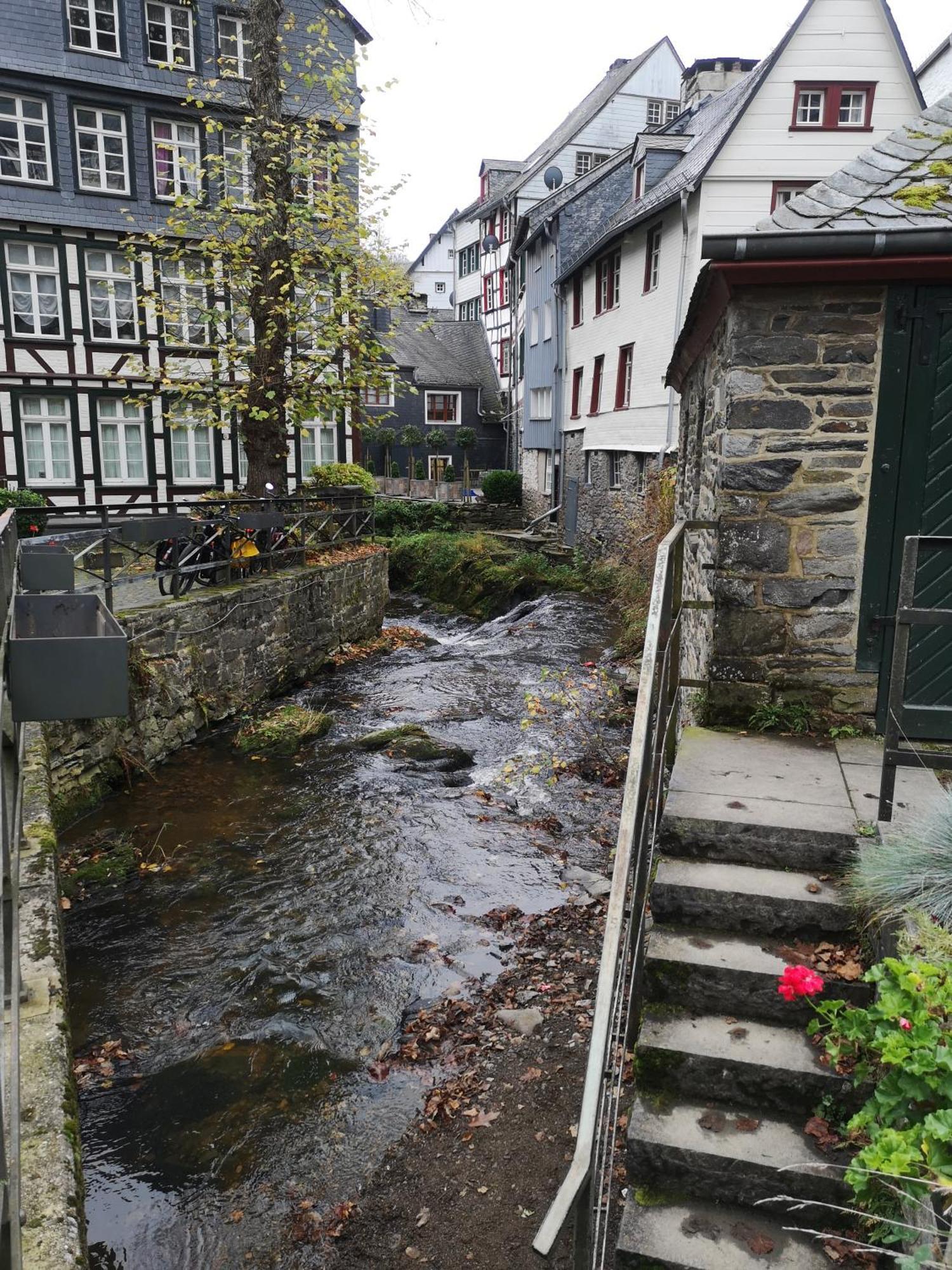 Ferienwohnung In Waldrandlage In Nationalpark Schleiden / Eifel Εξωτερικό φωτογραφία
