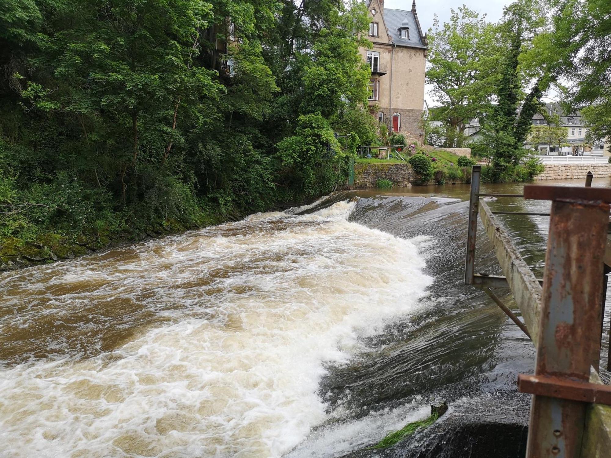 Ferienwohnung In Waldrandlage In Nationalpark Schleiden / Eifel Εξωτερικό φωτογραφία