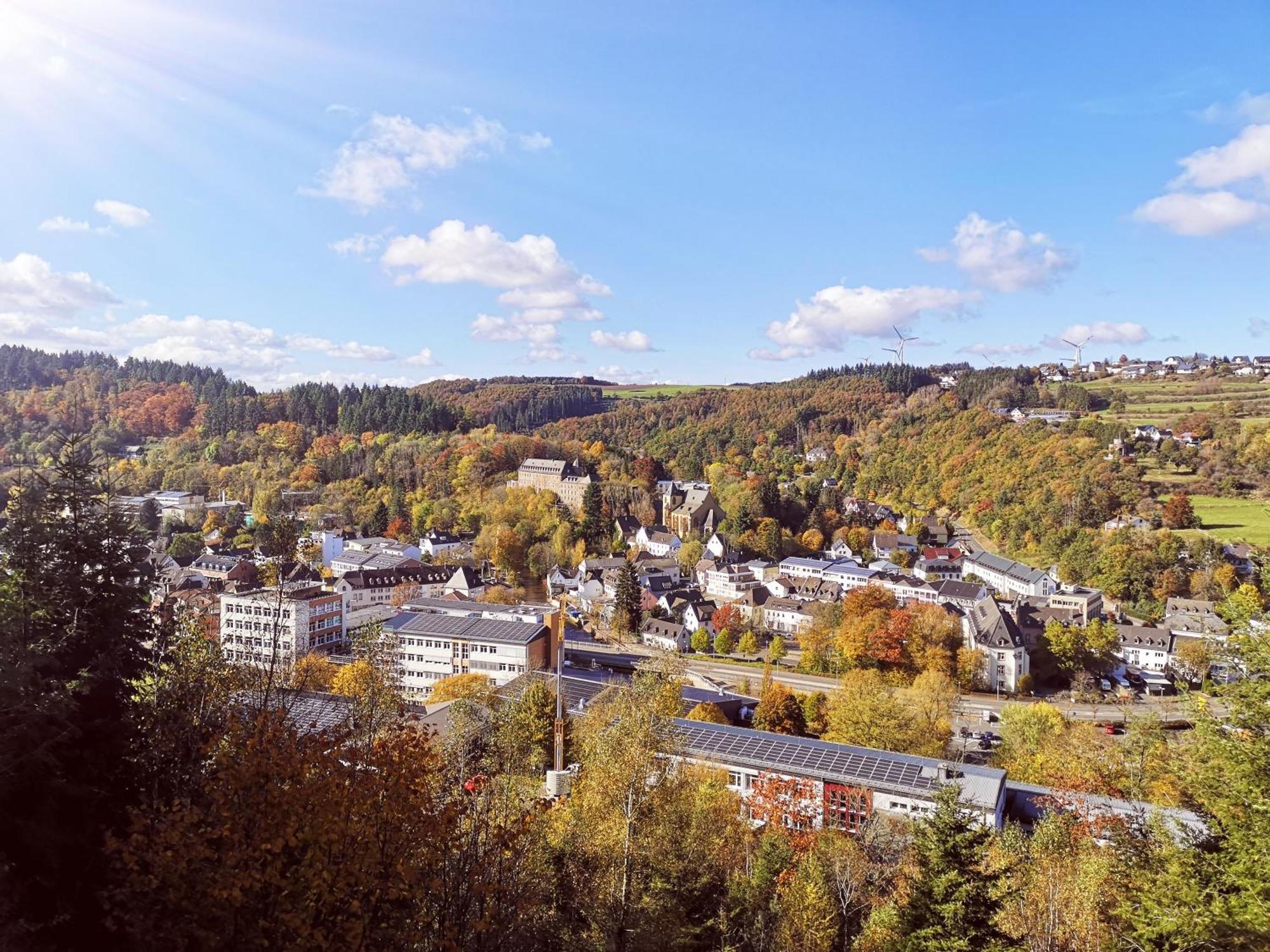 Ferienwohnung In Waldrandlage In Nationalpark Schleiden / Eifel Εξωτερικό φωτογραφία
