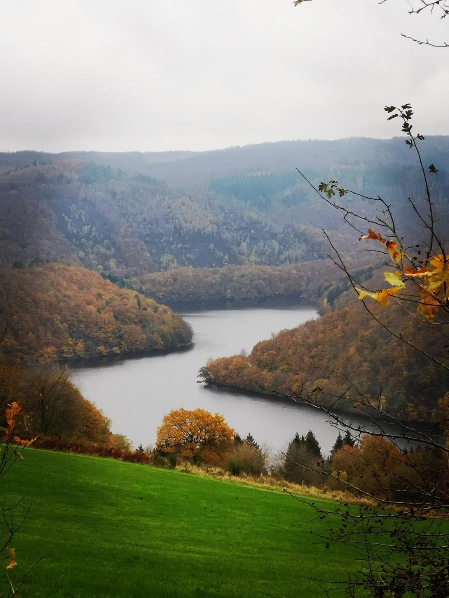 Ferienwohnung In Waldrandlage In Nationalpark Schleiden / Eifel Εξωτερικό φωτογραφία